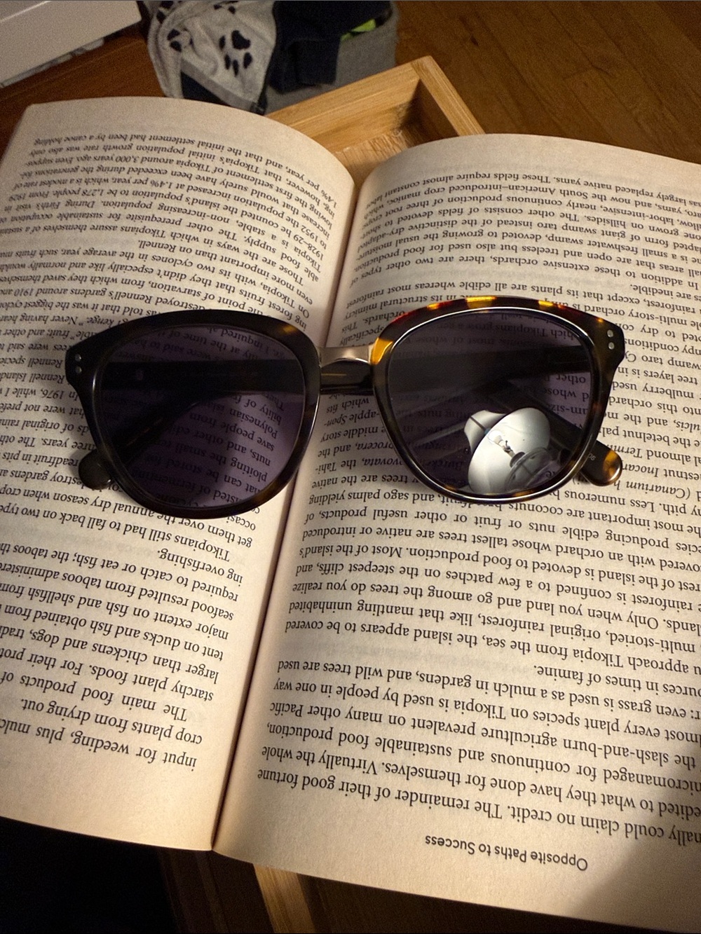 Kam Dhillon Tortoiseshell Sunglasses - Dark Lenses